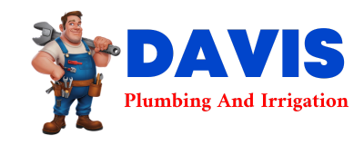 Trusted plumber in TERRAL